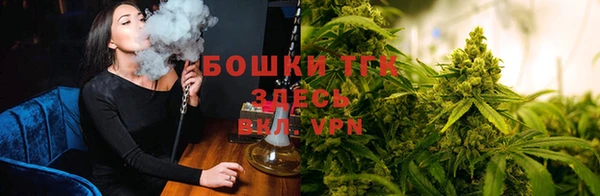 соль курить ск Алзамай