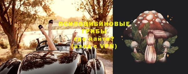 молекула духа Алексин